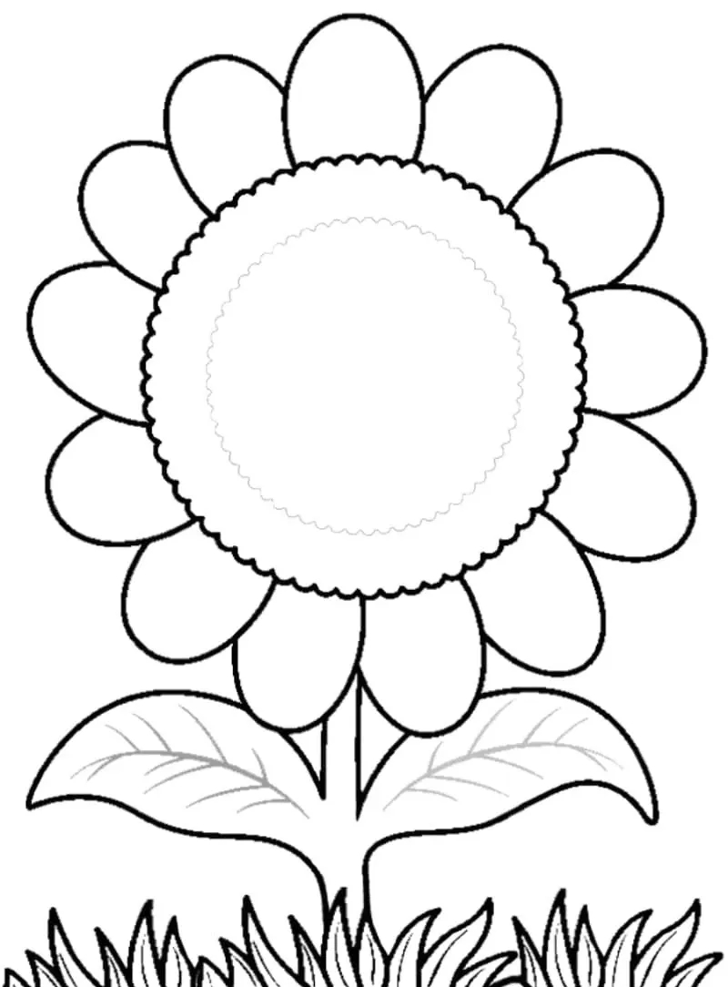 各种小花朵简笔画