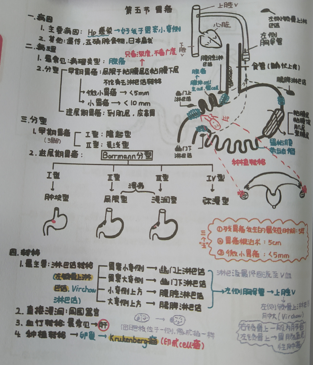 《人体解剖与生理病理知识》一一"胃癌"的病因,机理