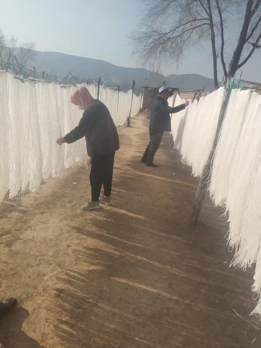 宁夏固原西吉县兴隆镇纯手工土豆粉条