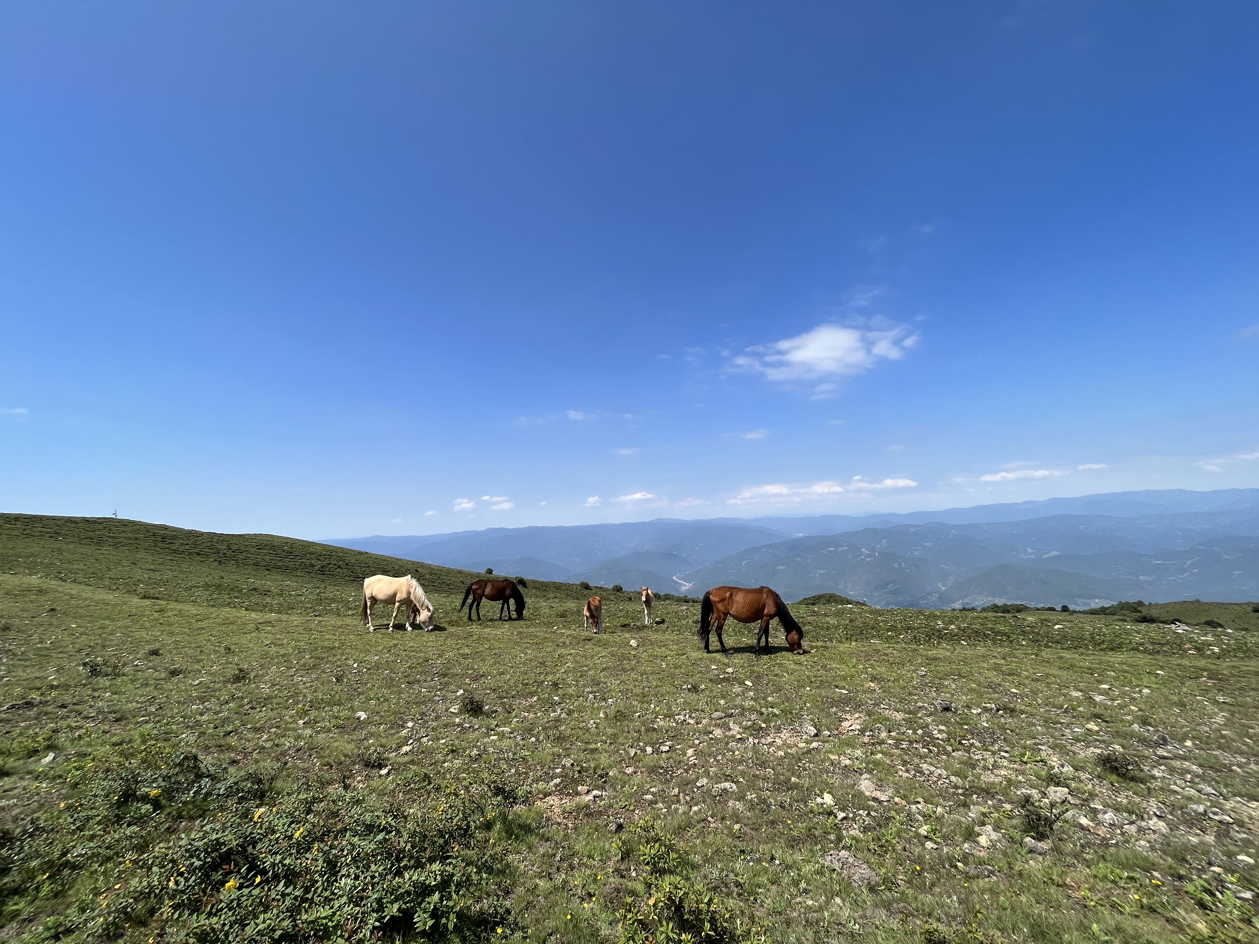 大理洱源鸟吊山,原生秘境,草原林海