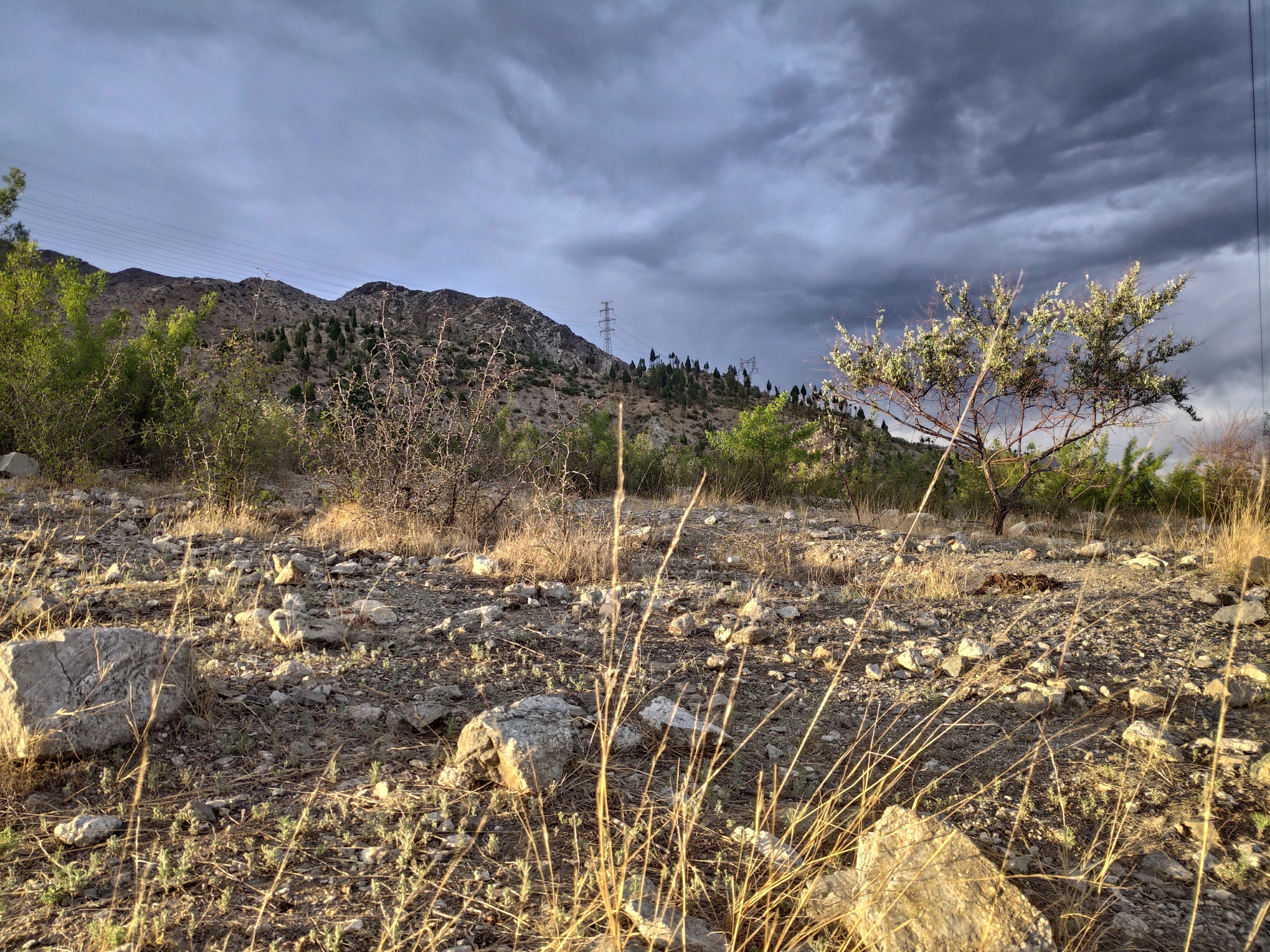 宁夏贺兰山荒凉的景观,即使夏天也看不到绿色植被