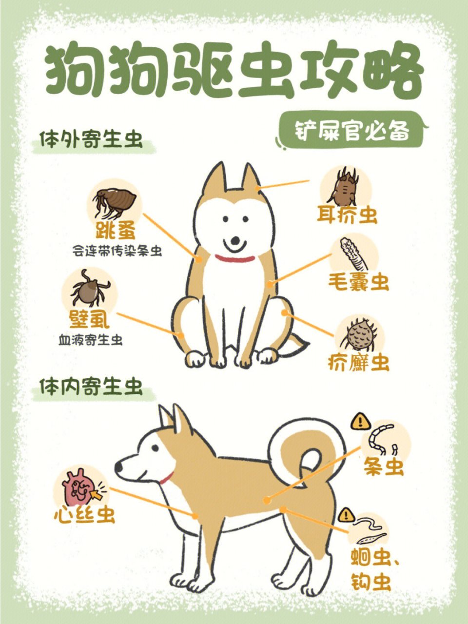 宠物疫苗接种的最新动态