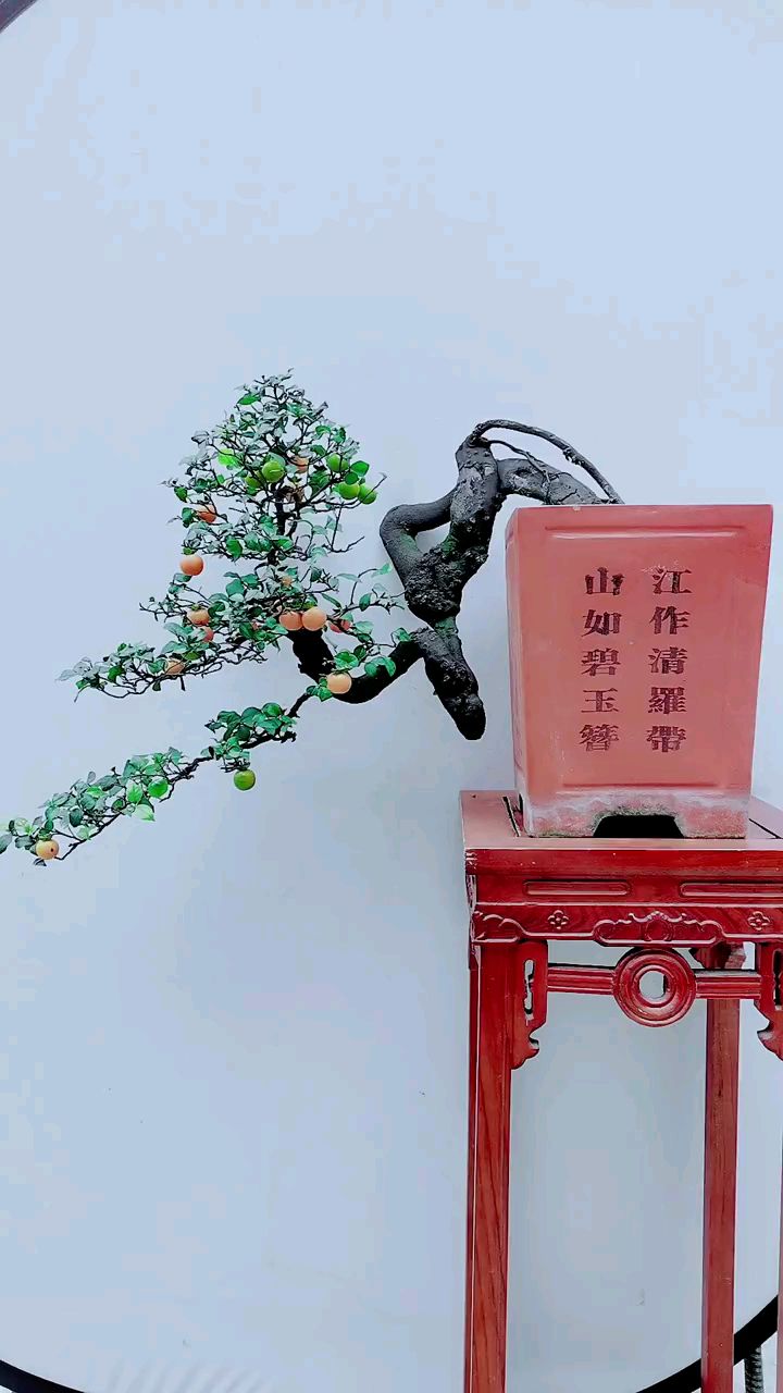 韵味十足的临水金弹子