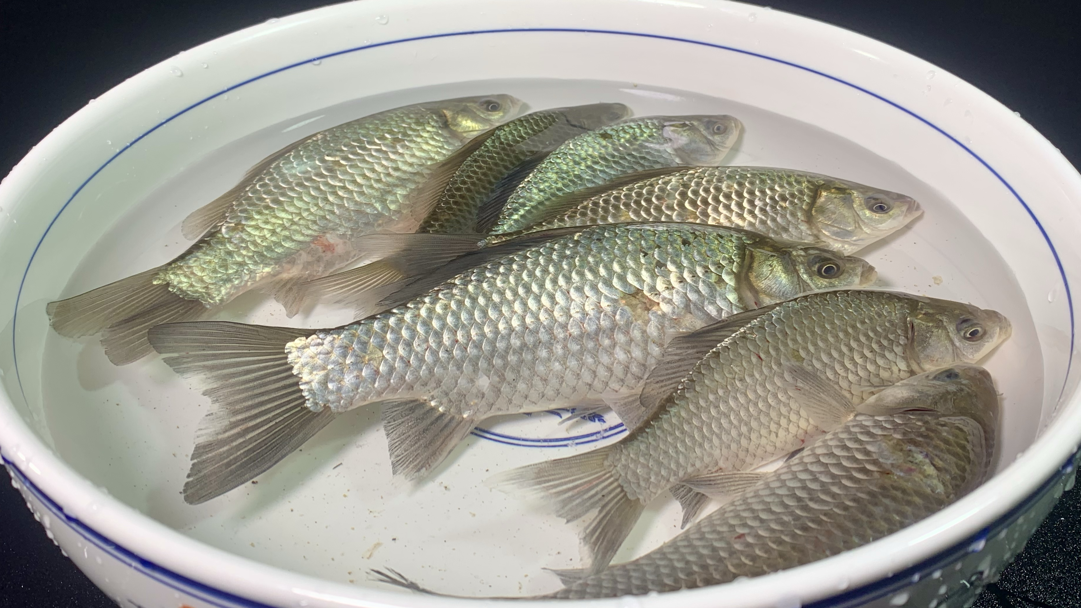 鲫鱼最简单好吃的做法，酱香入味，肉质鲜嫩，营养美味真下饭