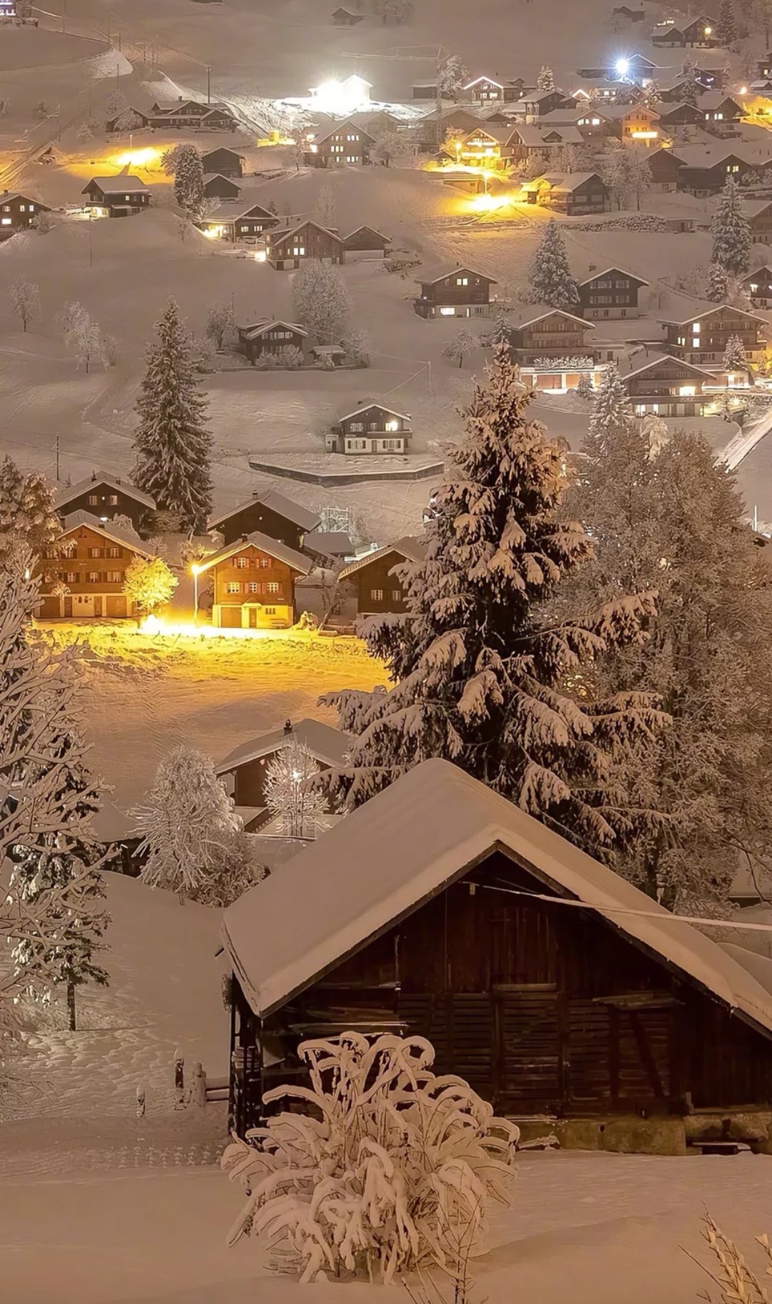 夜晚的雪乡美景描写图片