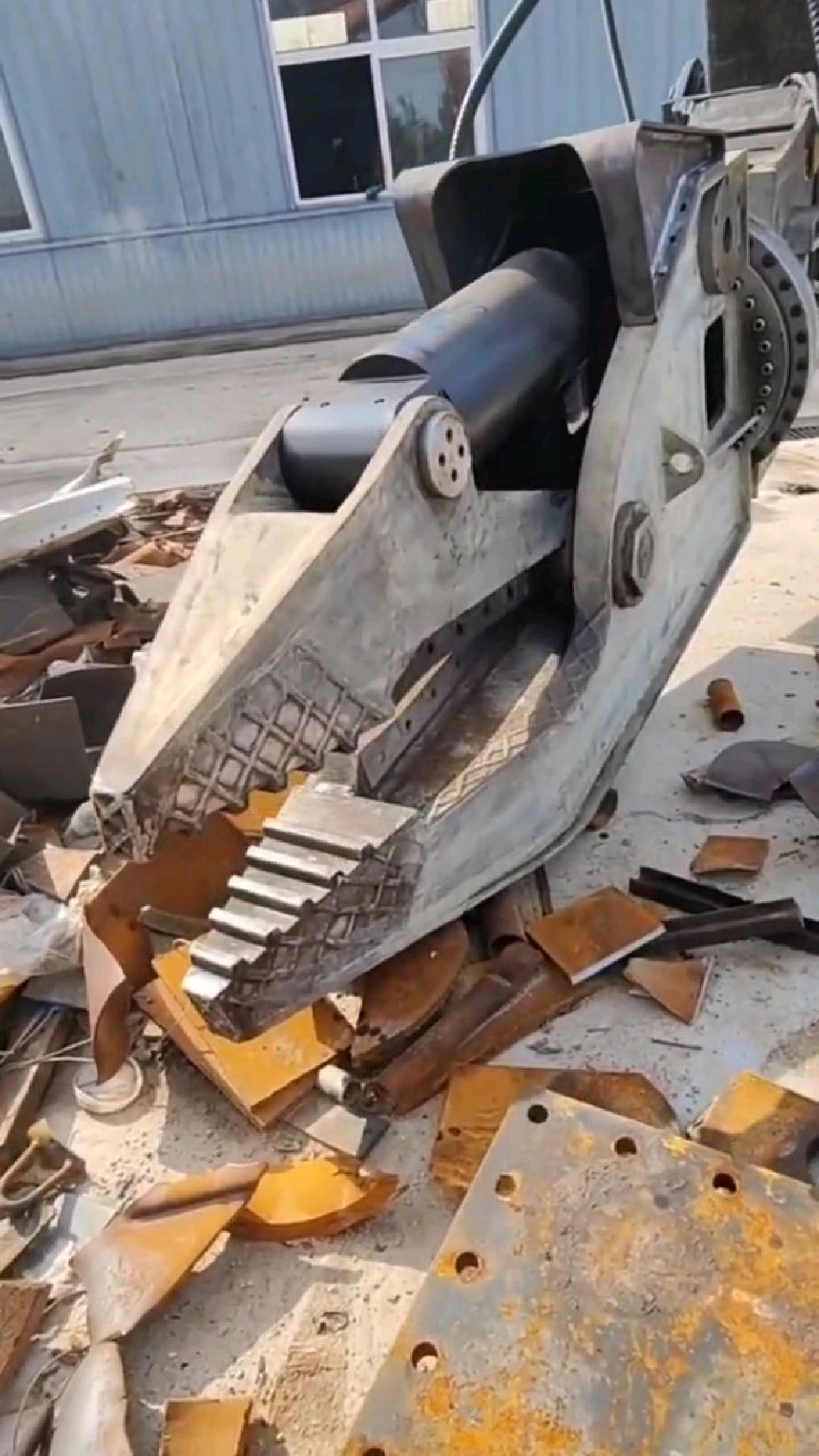 这么大的老虎钳见过没