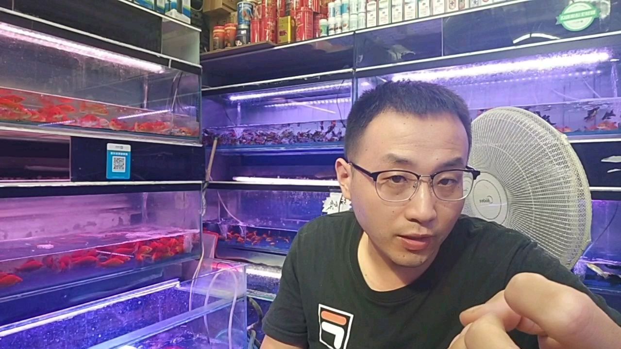 今天陪大家好好聊聊观赏鱼如何喂食?喂多少?什么时间喂