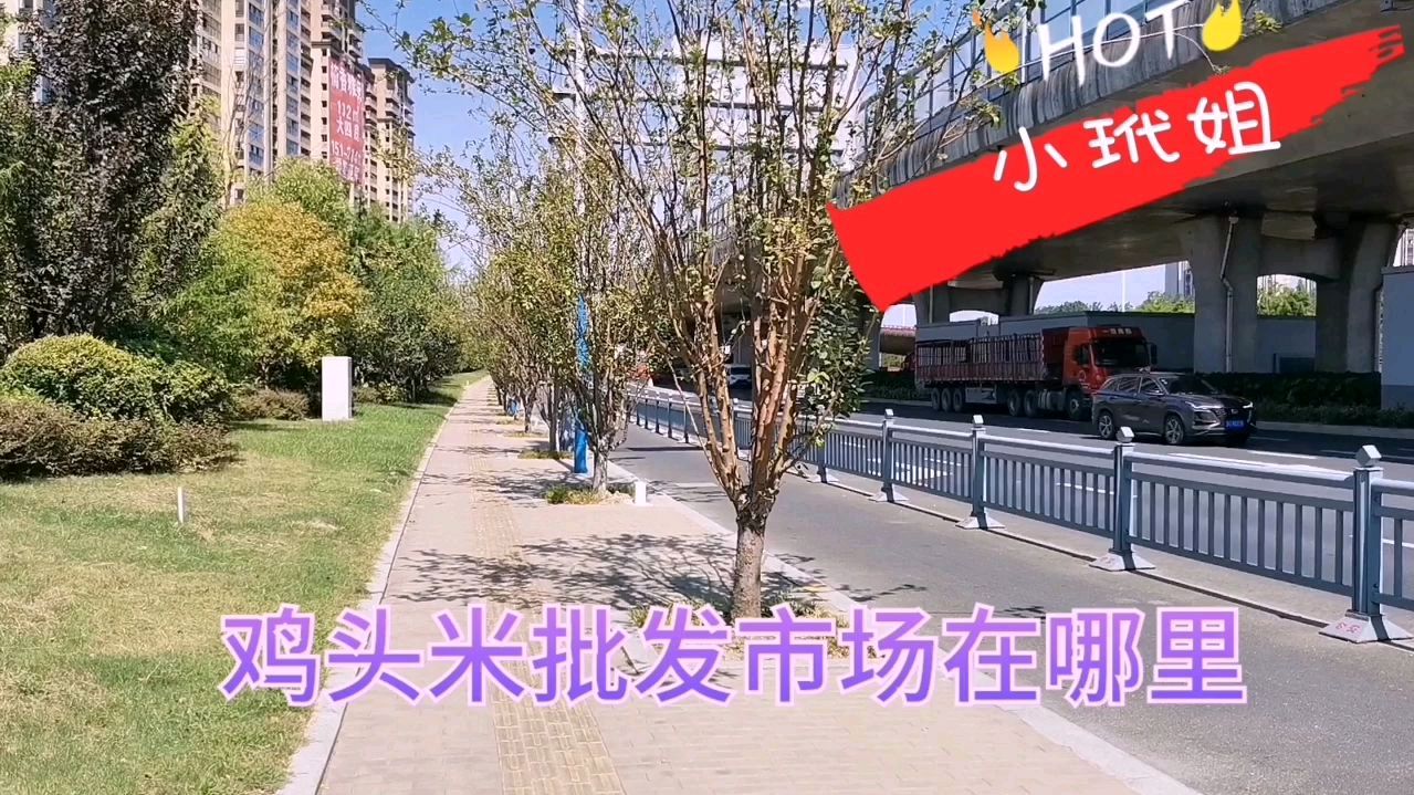 小玳姐浒关鸡头米批发市场买芡实,机器剥出来的不知口感如何?