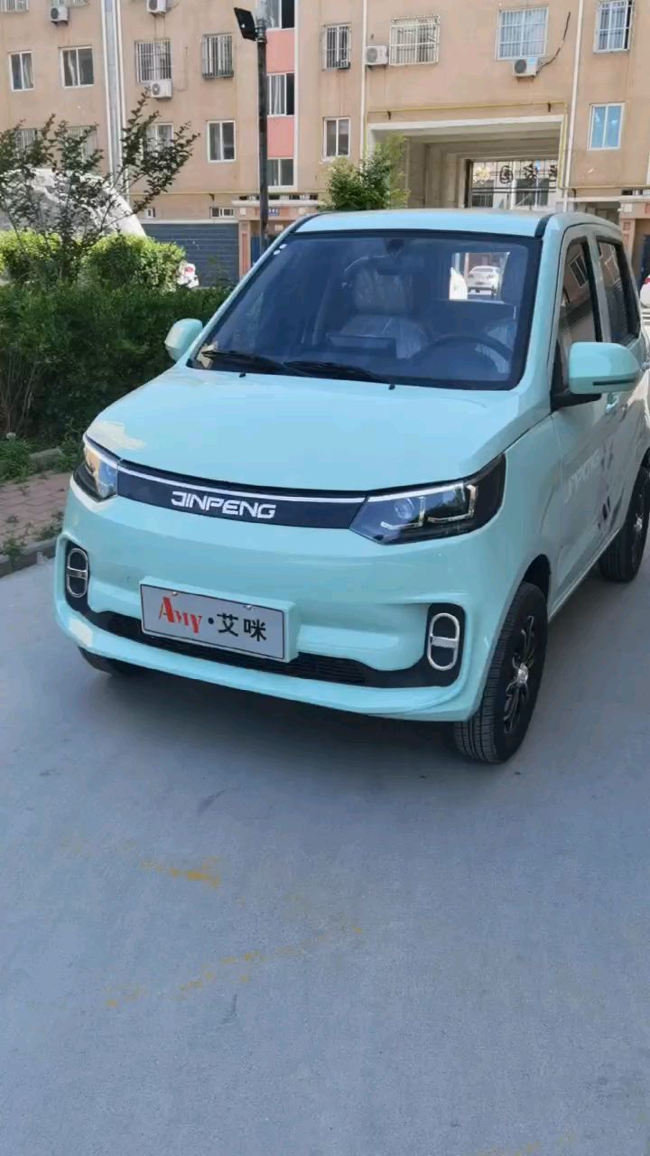 新能源金彭艾咪女士电动车代步车