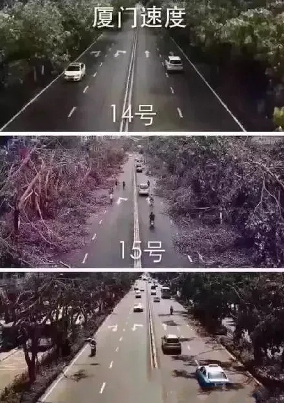 厦门人被"莫兰蒂"支配的恐惧回来了! 很像"莫兰蒂"?