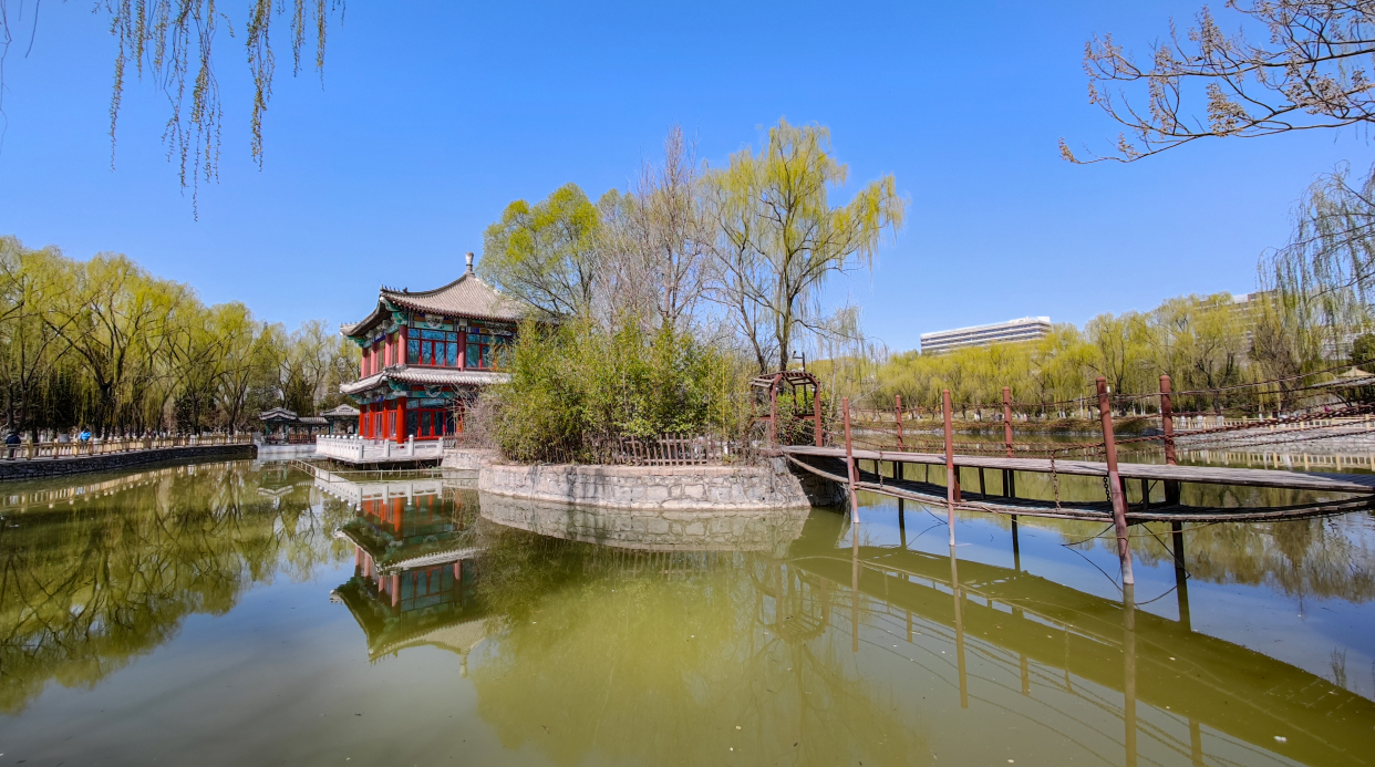 北京兴隆公园春色醉人