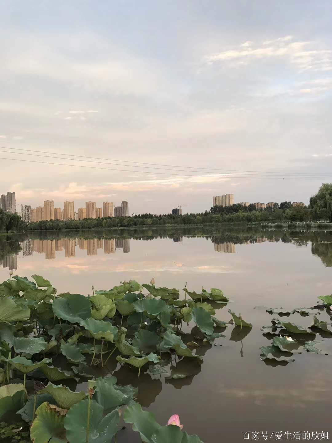 風雨後的臨沂莒南五洲廣場