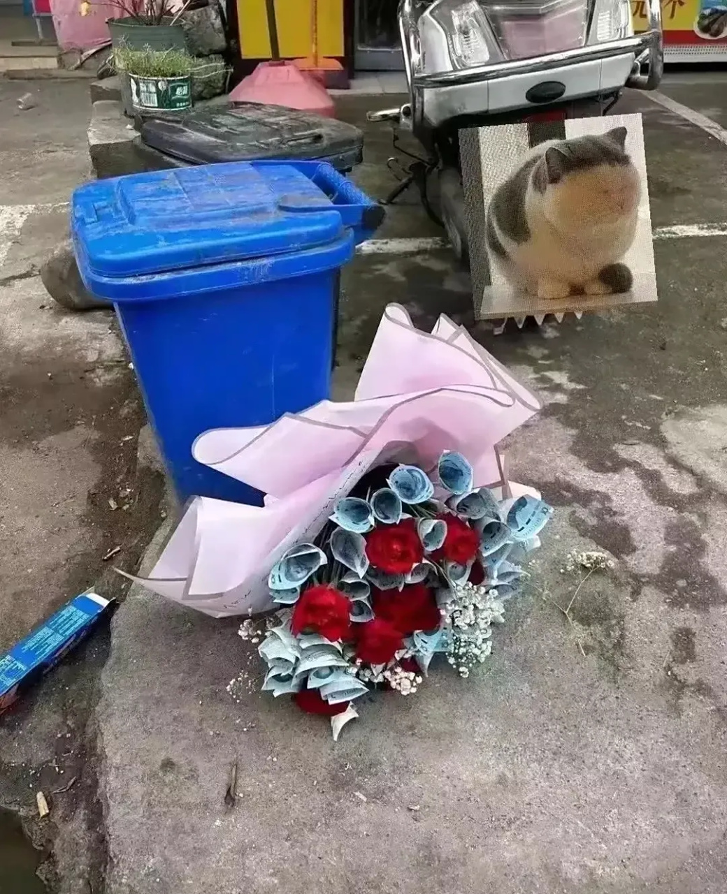 七夕过后,有网友在小区楼下的垃圾桶捡到一束特别的玫瑰花,之所以说