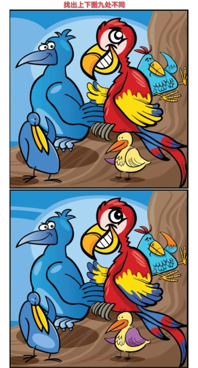 考眼力找不同: 一群愤怒的鸟儿, 别去招惹它们, 它们可是愤怒的鸟儿