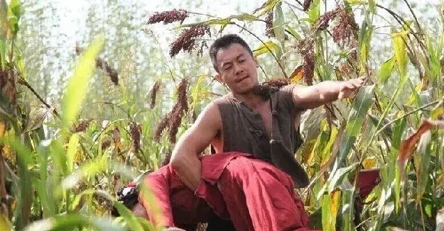 两个版本的《红高粱,你更喜欢哪个版本的"余占鳌?