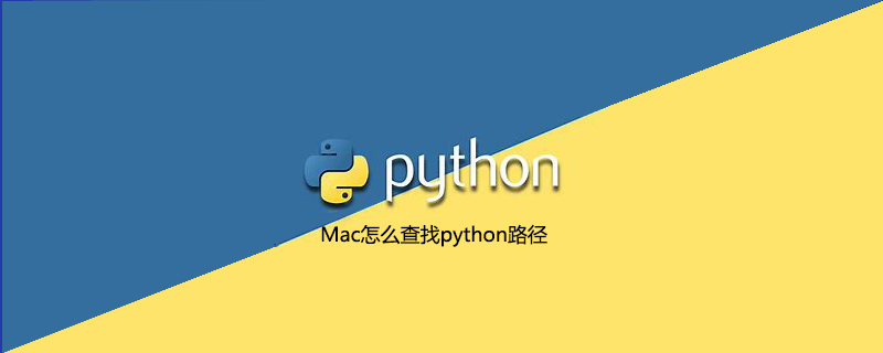 如何在 Mac 上查找 python 路径