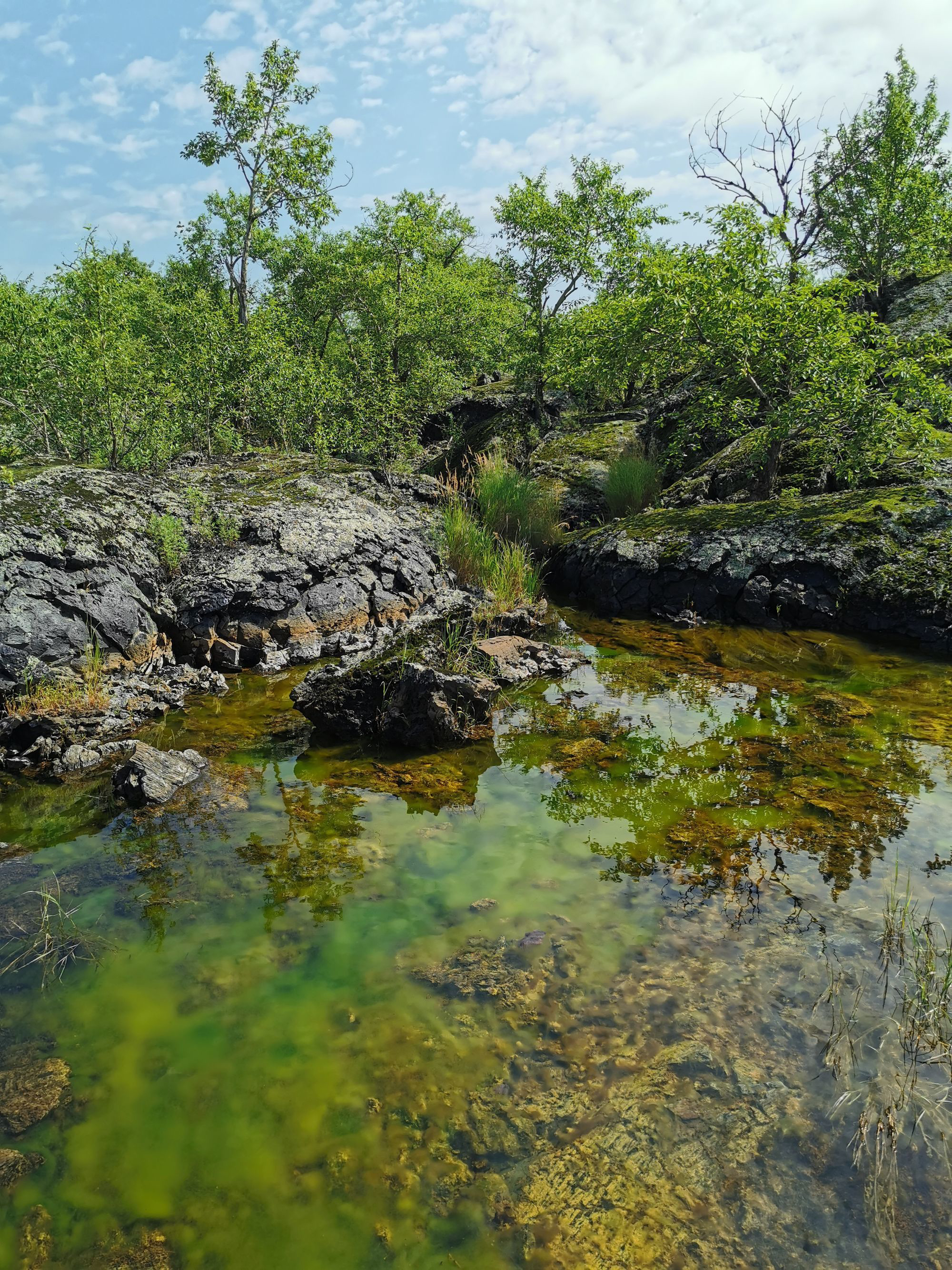 五大连池风景区,游览温泊堰塞湖风光