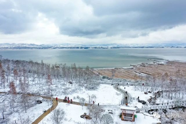 2022年,我于尘埃里遇见你