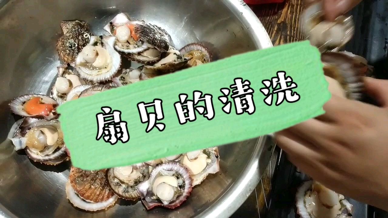 夜市创业好项目烤扇贝,扇贝如何清理和摆盘小刘哥教你