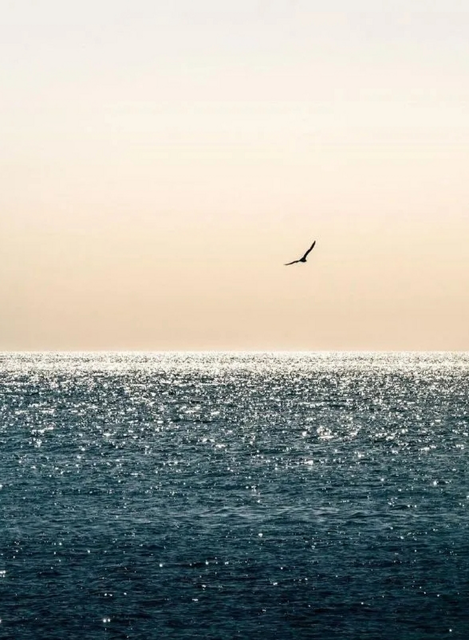 在确定性上,持续积累. 在不确定性上,低成本试错.