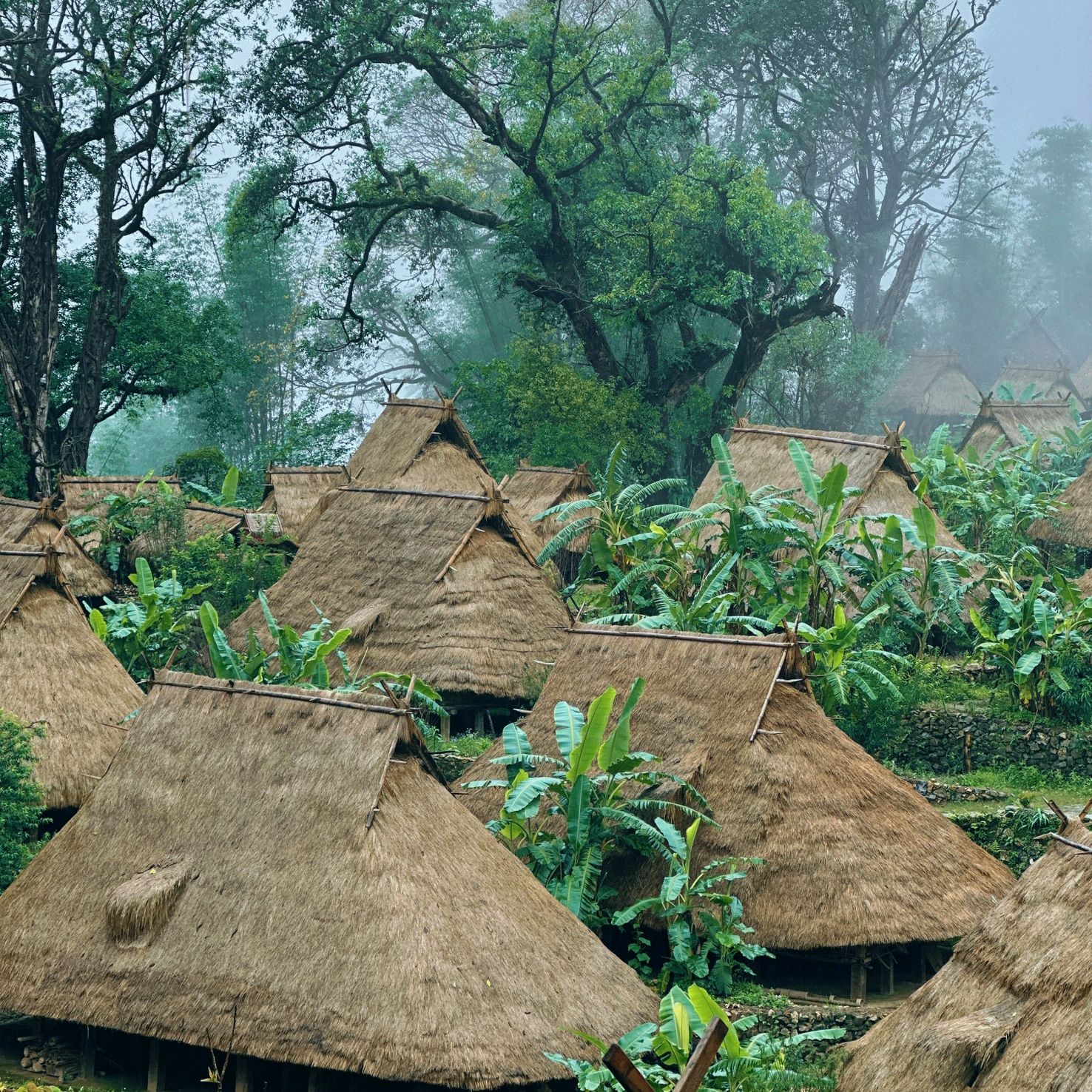 中国最后一个原始部落:翁丁