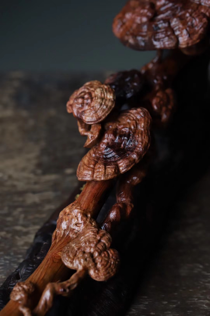 海黄 | 灵芝如意 甄选老料,循其色泽纹理雕刻.