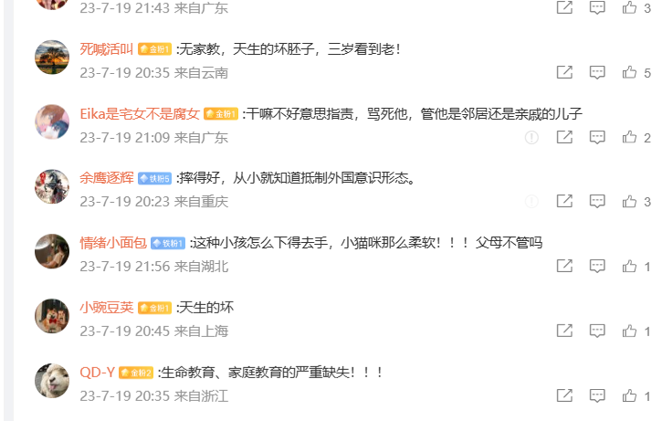 男童宠物店内摔猫致重伤,引发关注和思考