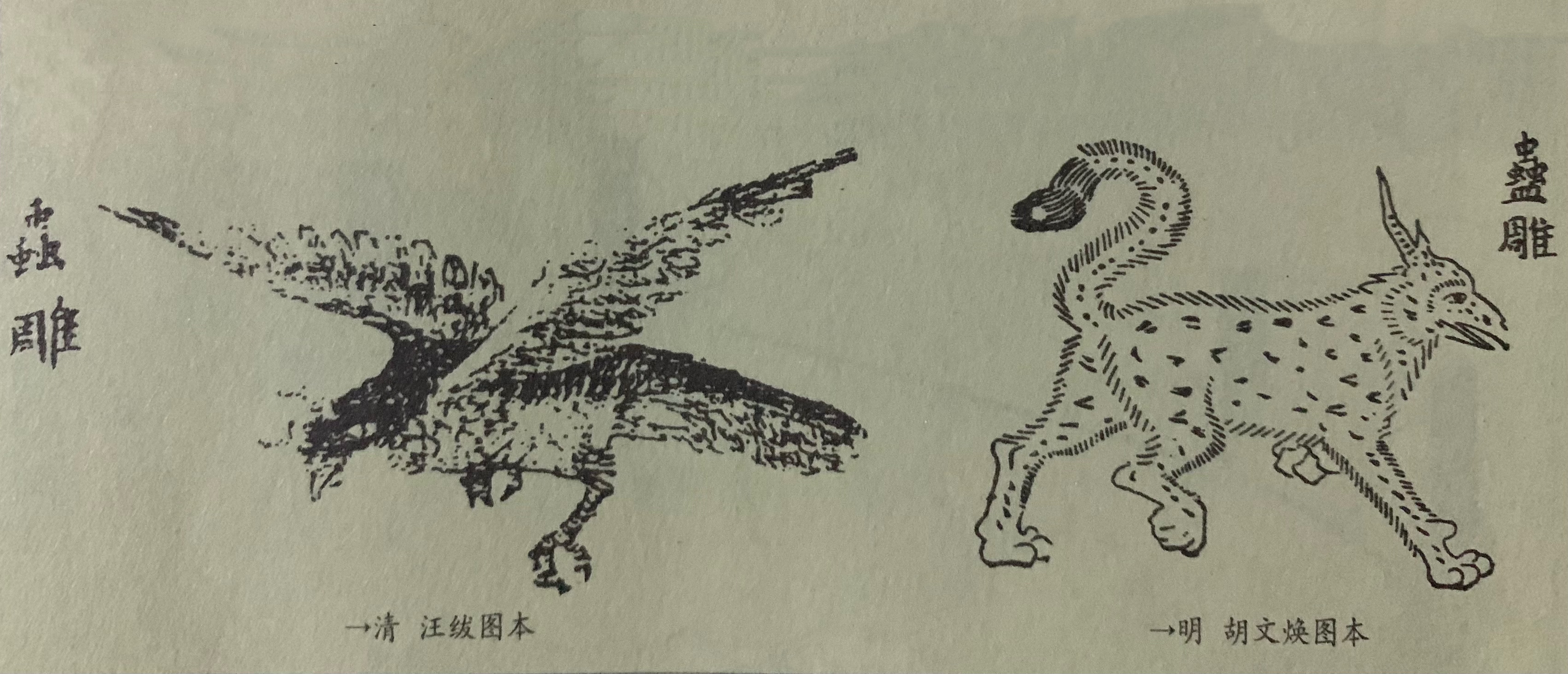 国学《山海经》南二经——蛊雕,揭露它吃人的真相