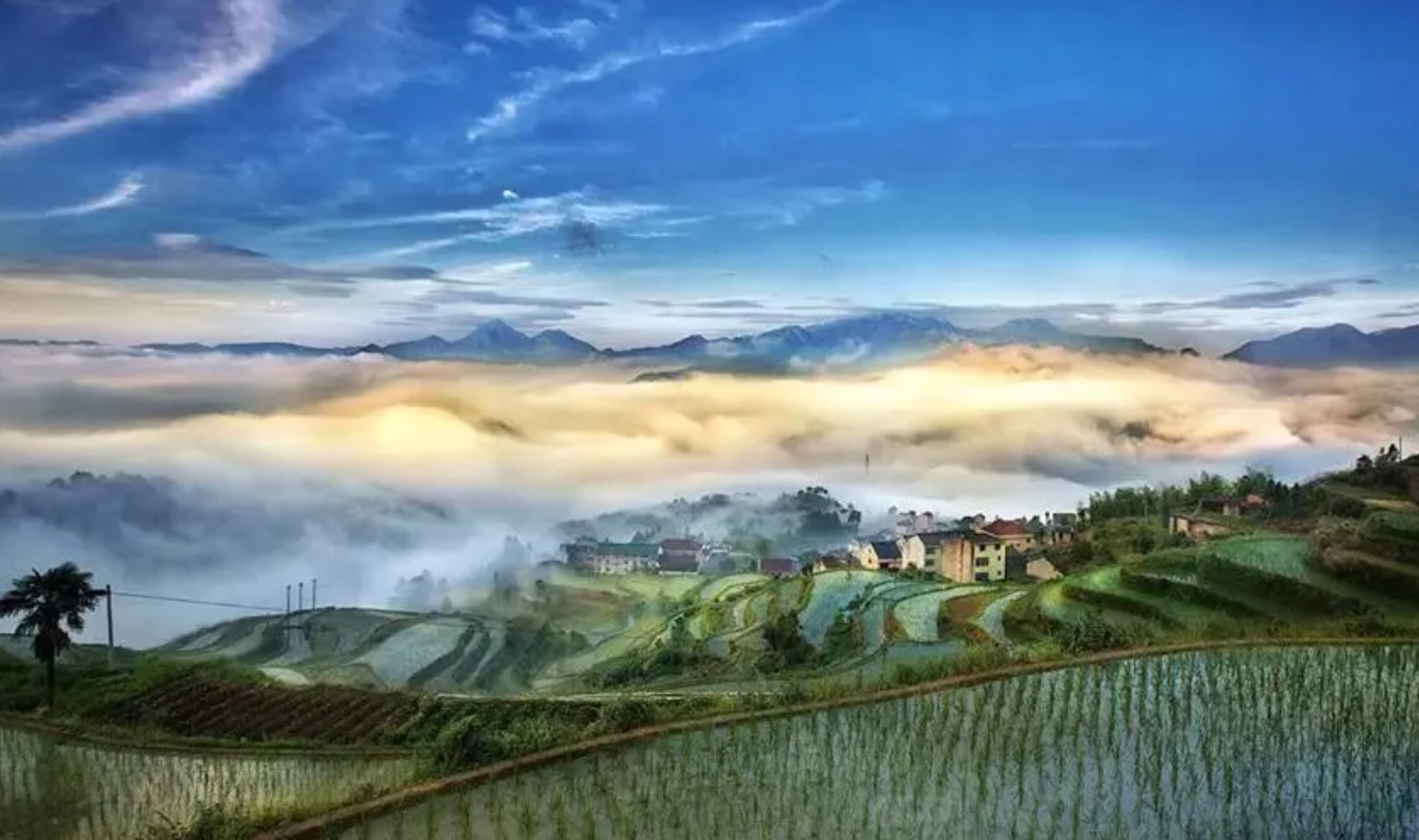 丽水青田旅游景点哪里好玩