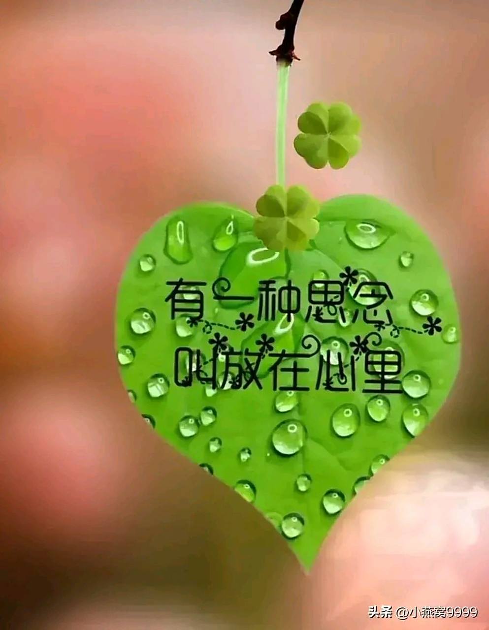 缺  你来了 会走  可我爱你的心 会永久  世间一切 都在变  想你的情