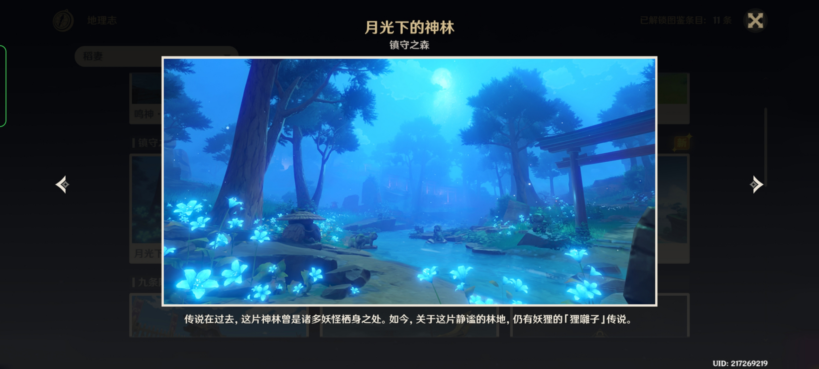 稻妻美景 今天顺手找到了几个观景点,就想着稻妻的美景分享给大家啦!