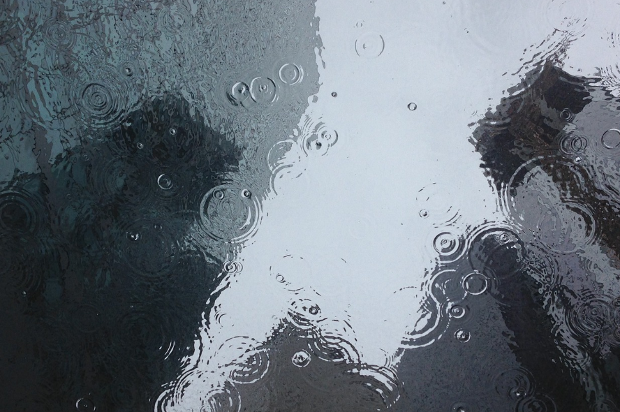 邱兵作品:革命之路(这文章写得真好,感情真挚,文字活跳)