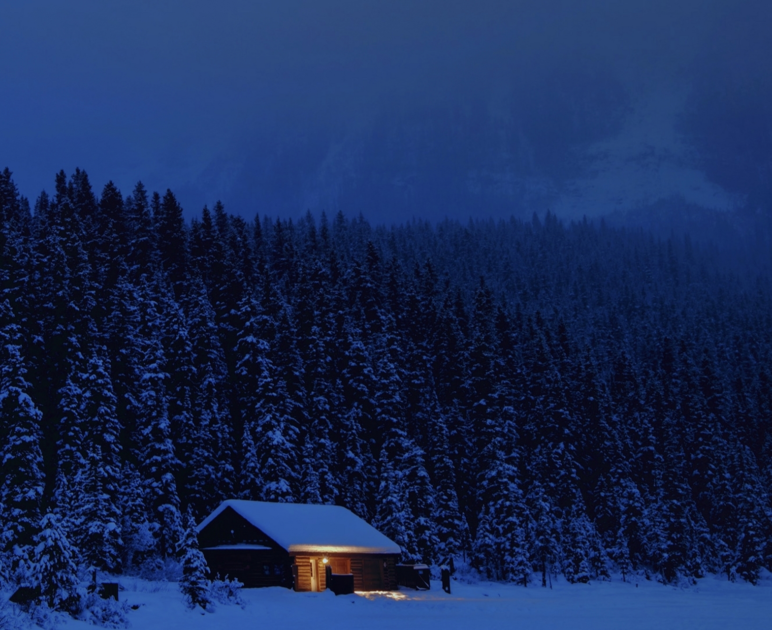 问刘十九   唐·白居易  绿蚁新醅酒,红泥小火炉.