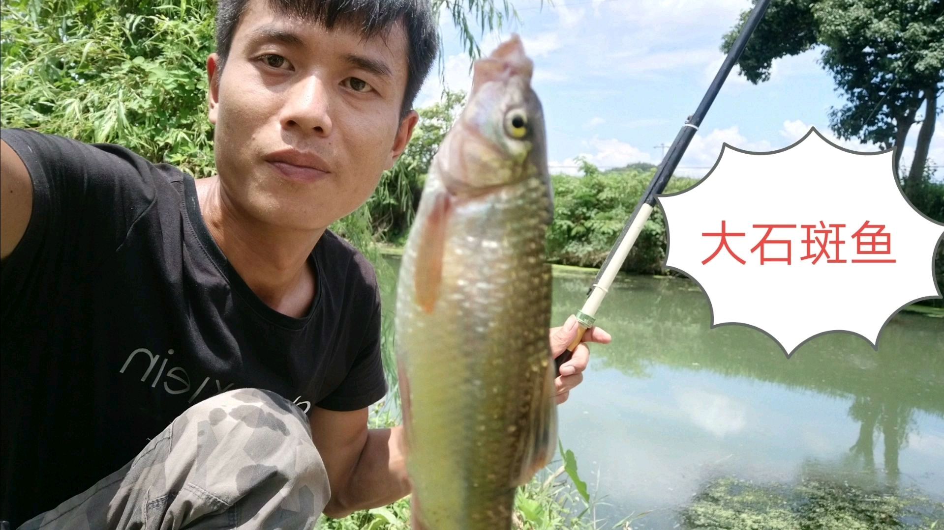 看河里有石斑鱼嘴馋,回家拿鱼竿钓了一菜一汤这“蒸石斑鱼”绝了