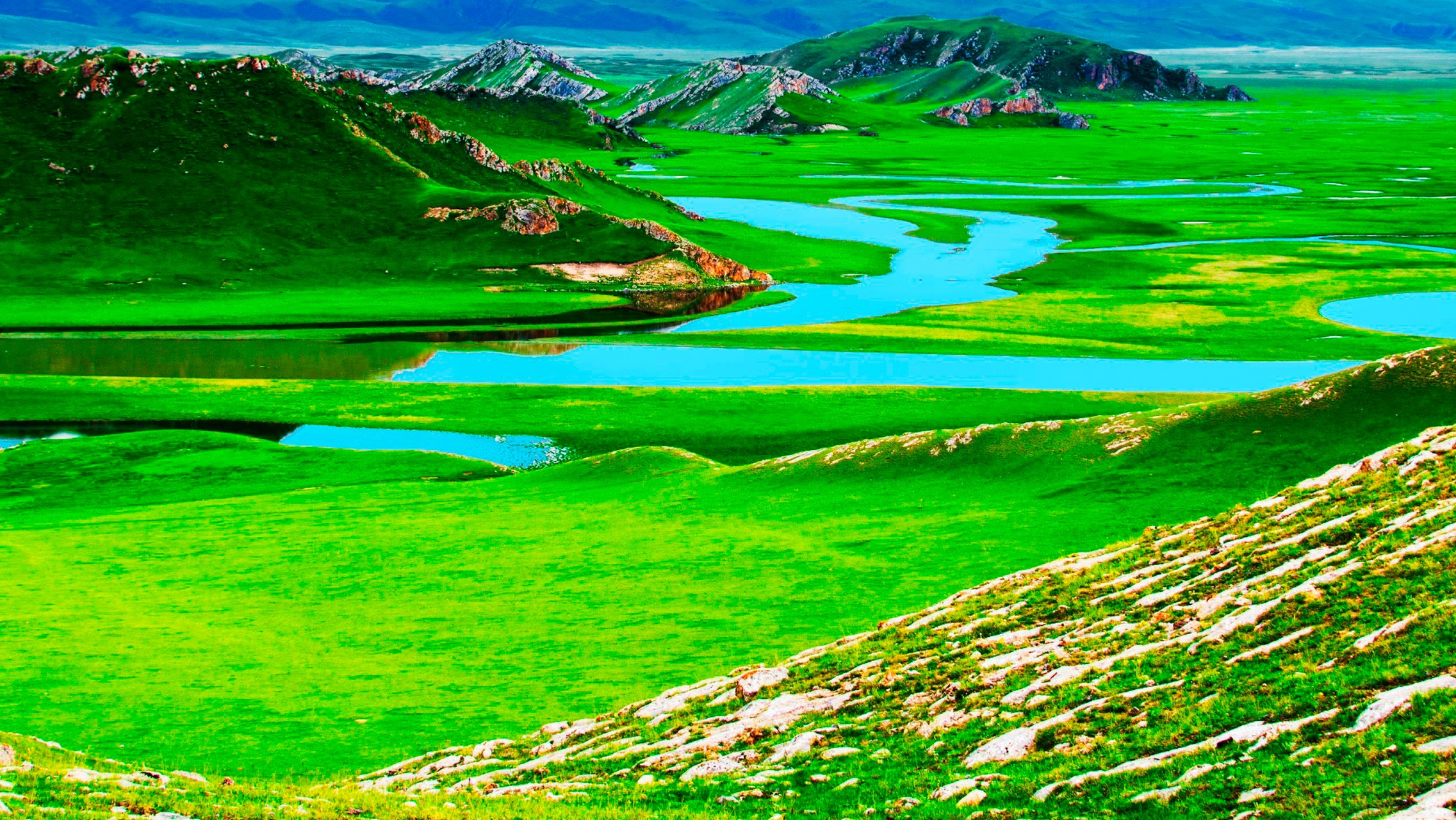 国内文旅# 【典型的禾草草甸草原,感受草原的开阔壮丽!