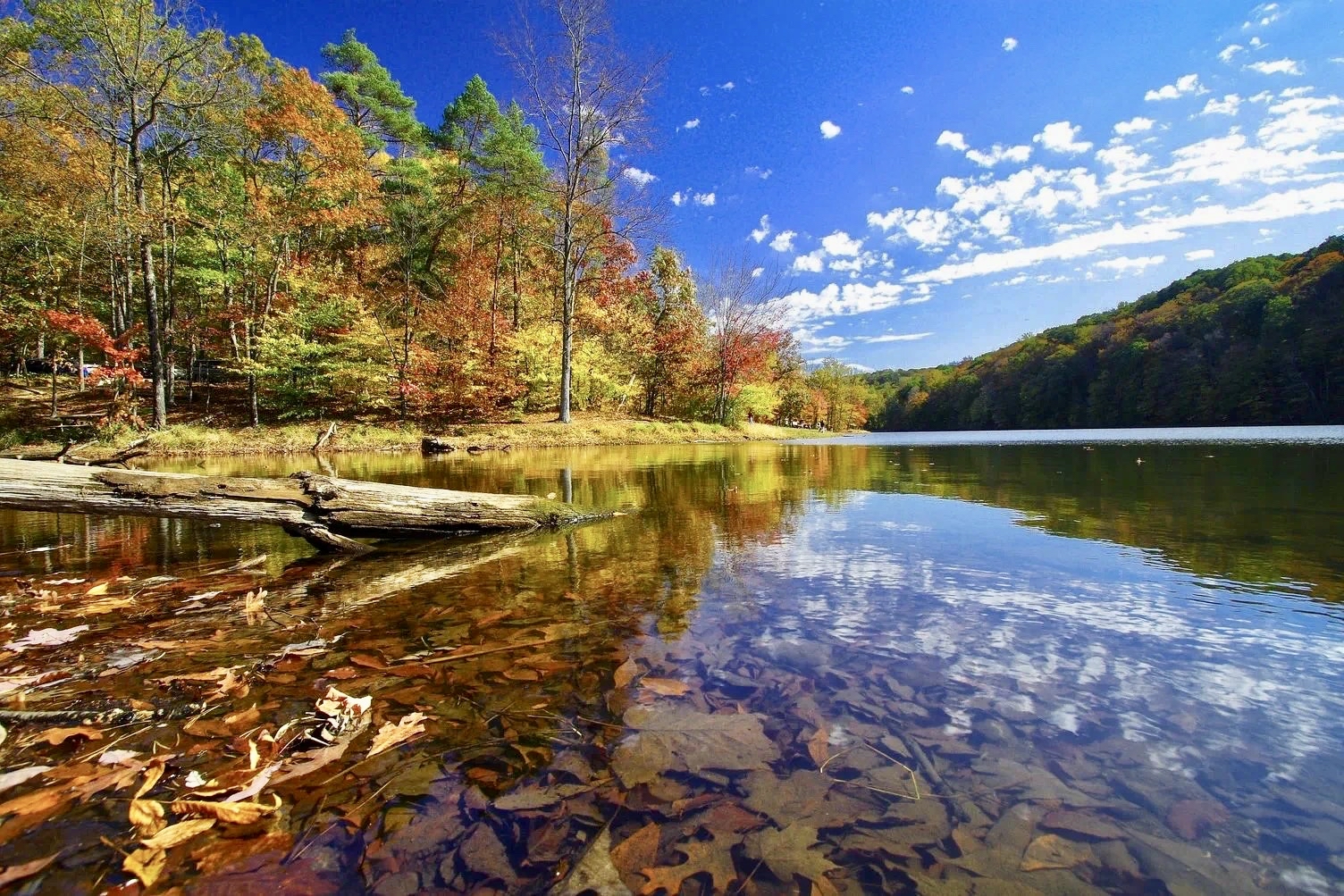 初秋的印第安纳州国家公园