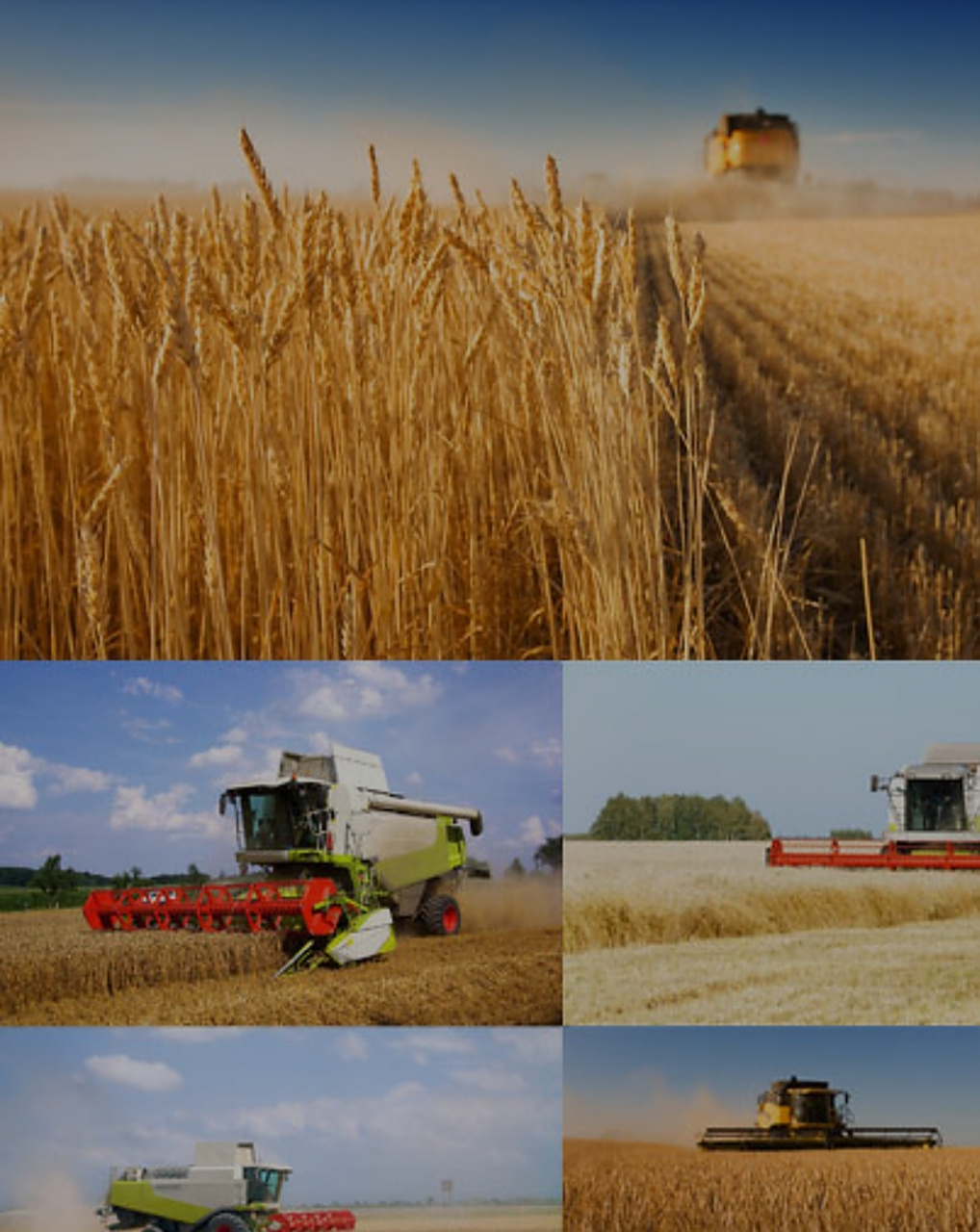 让我们来看一看我国农业的今昔对比!