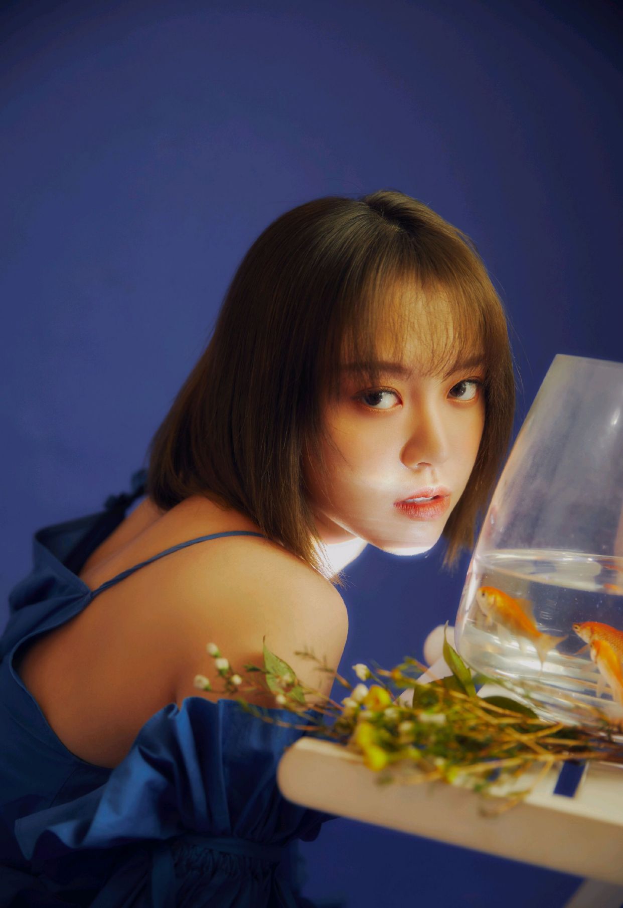 明星写真美图|陈倩楠