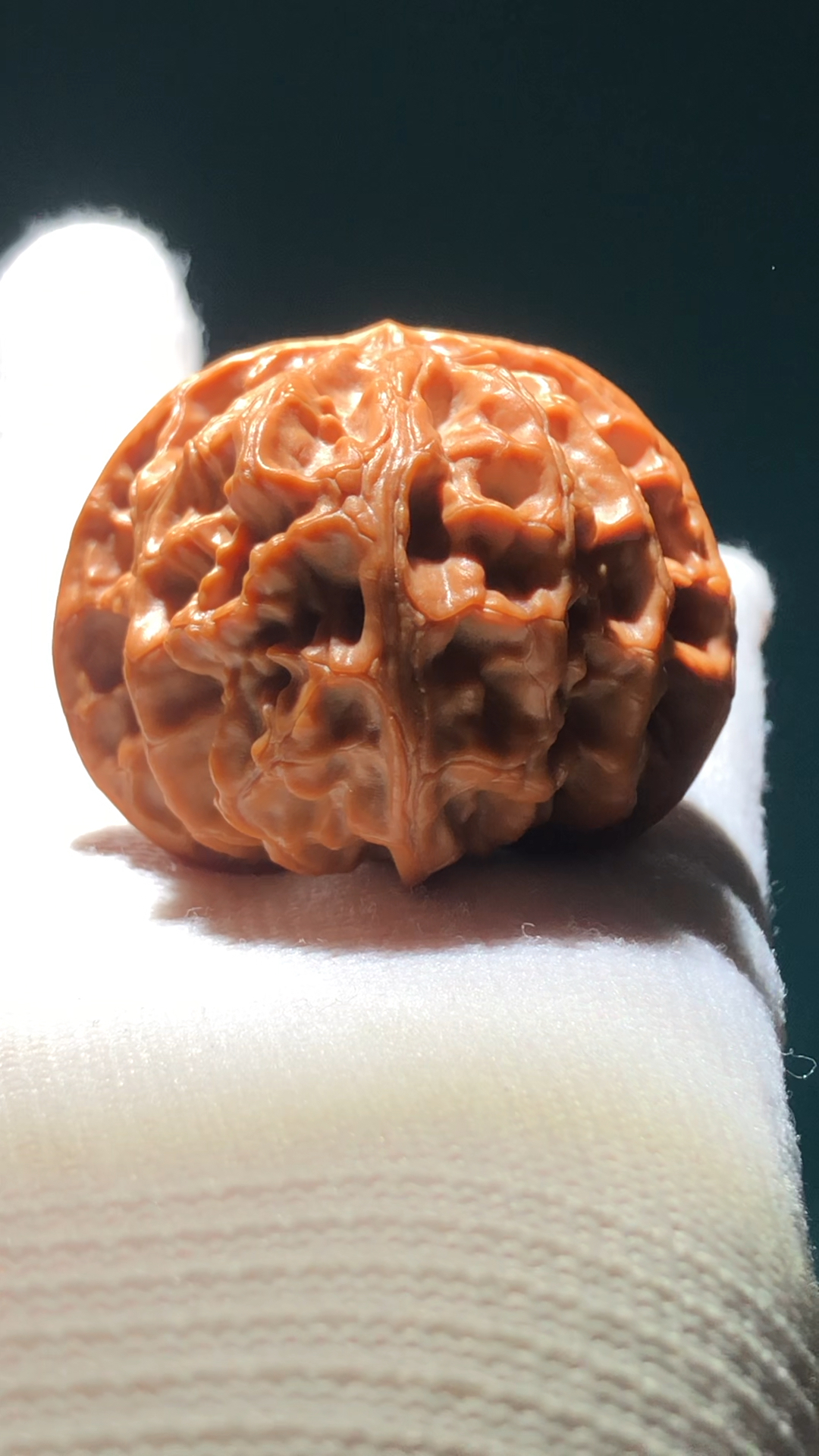 极品苹果园狮子头