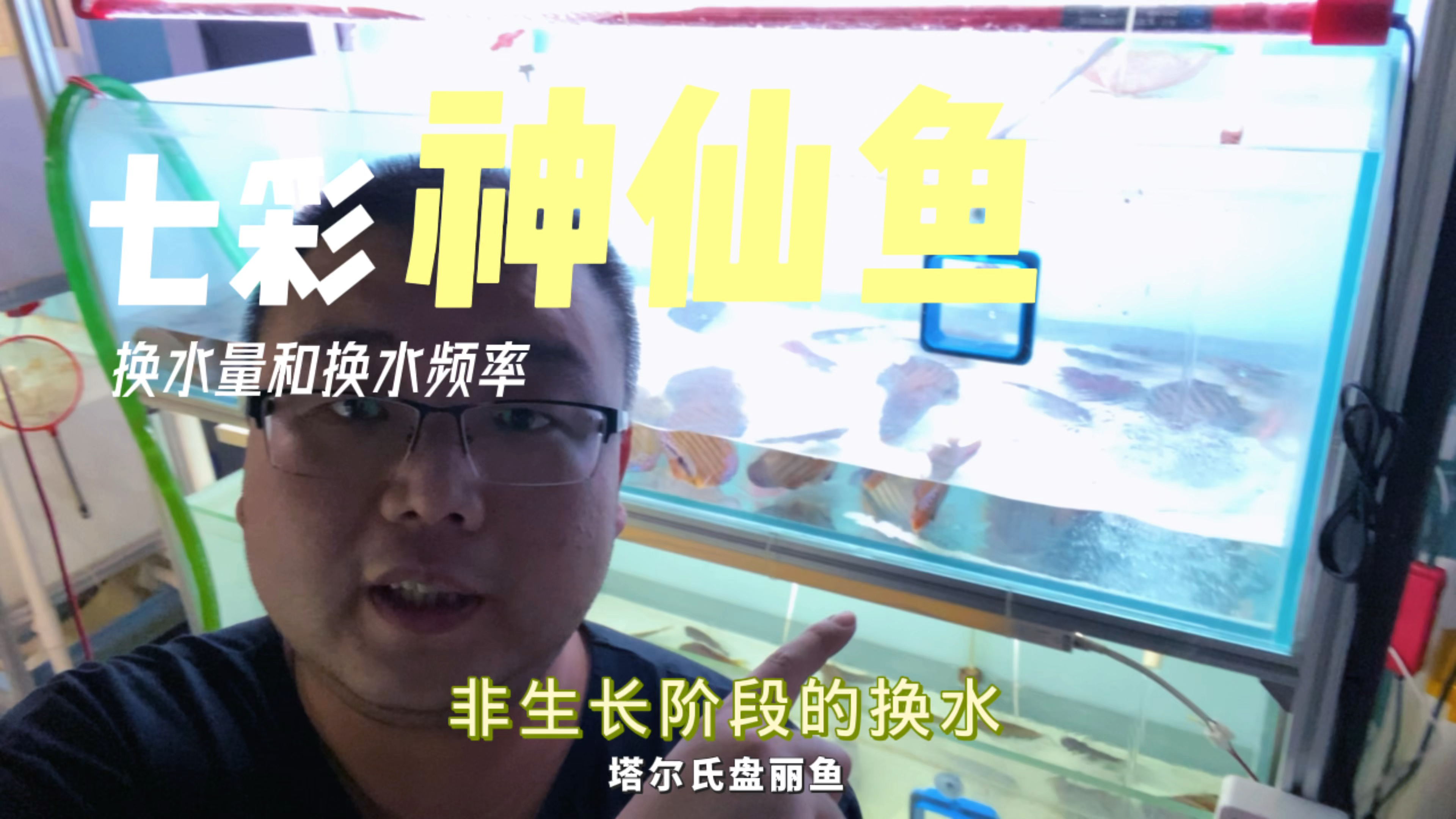 七彩神仙鱼的换水量和换水频率根据什么来控制,到底换多少水合适