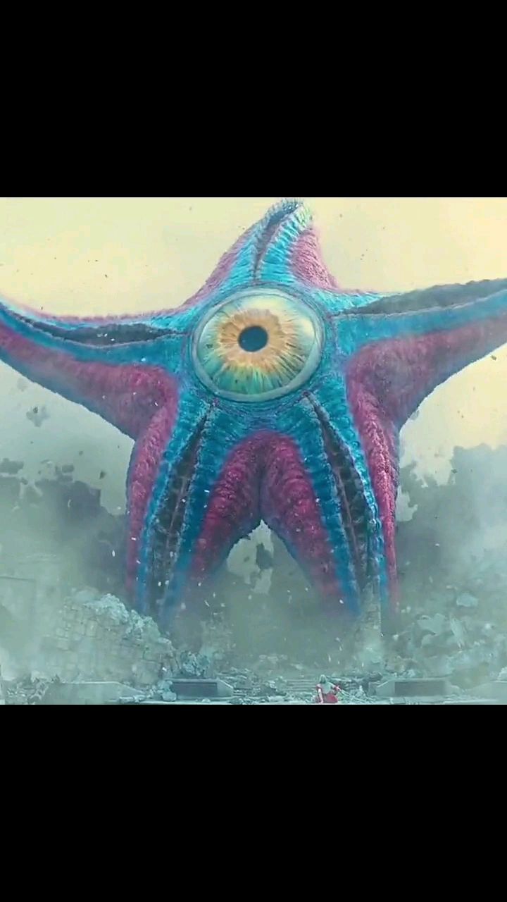 x特遣队第一次看见这么大的海星