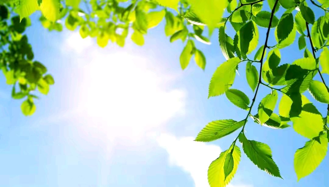 借给朋友一万块,还帮他保守秘密10年,最后却发现是我害了他