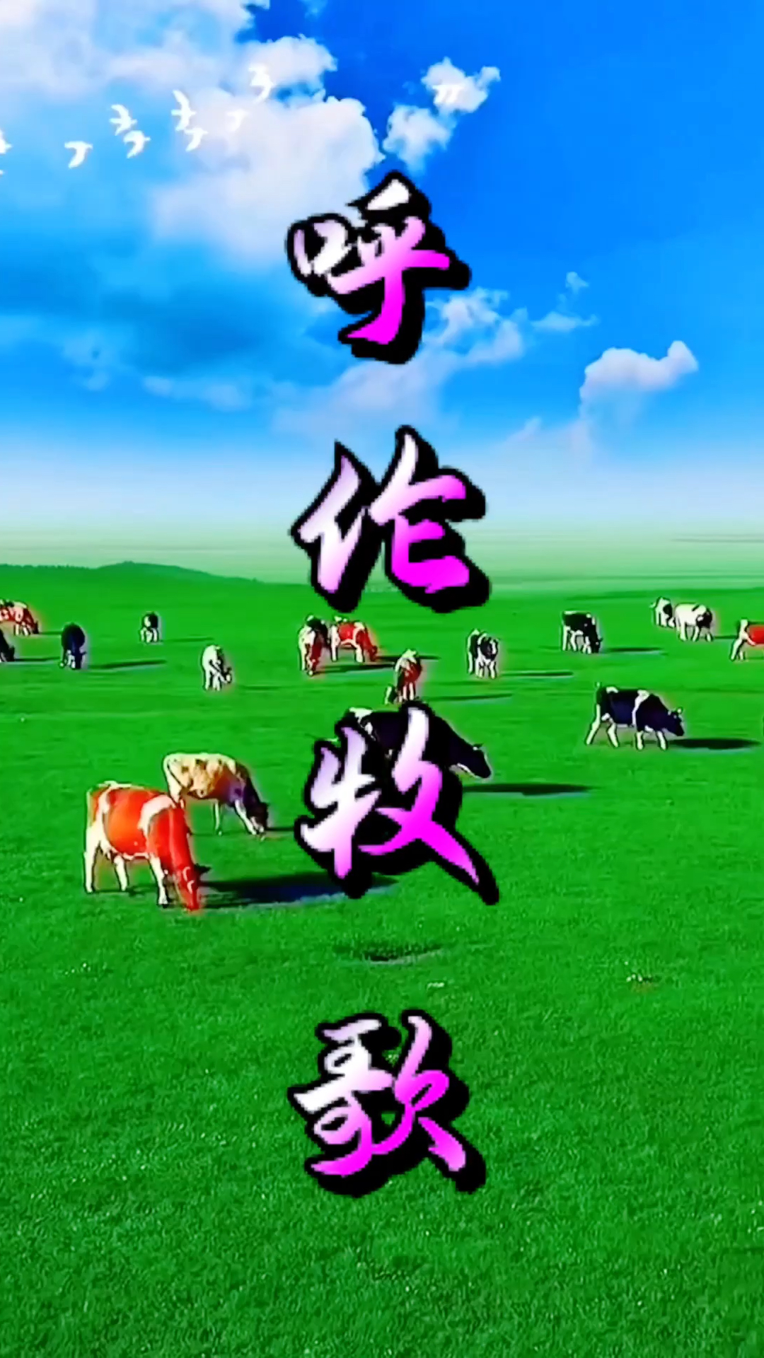 呼伦牧歌乌兰齐齐格倾情演绎-度小视