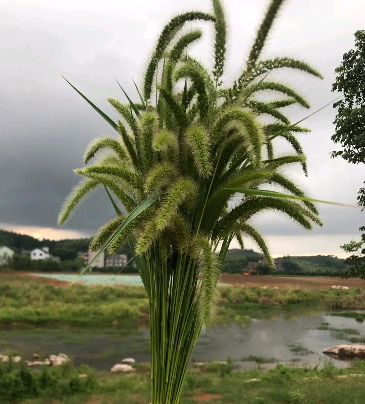 老吴的第二次春天