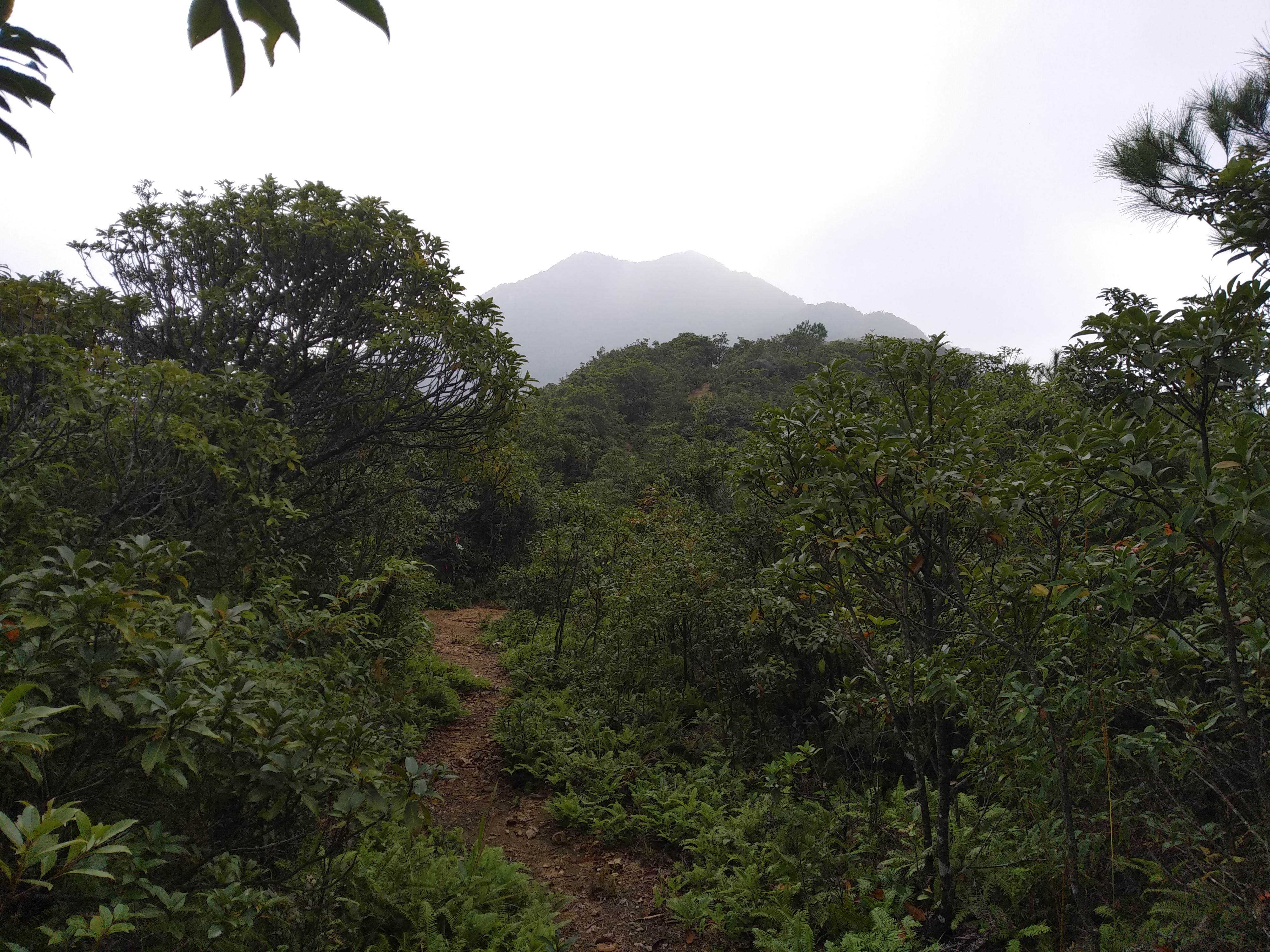 从化通天蜡烛山简介图片