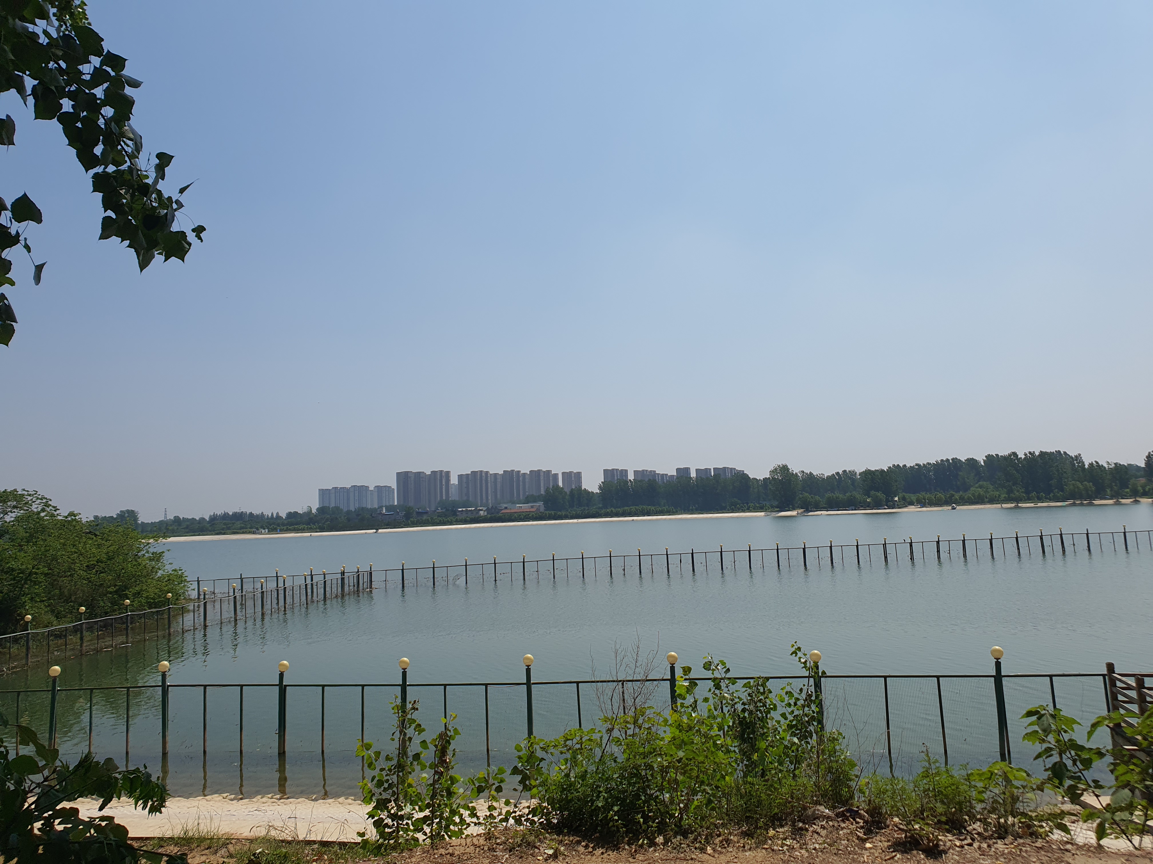 河南新野白河湿地公园图片