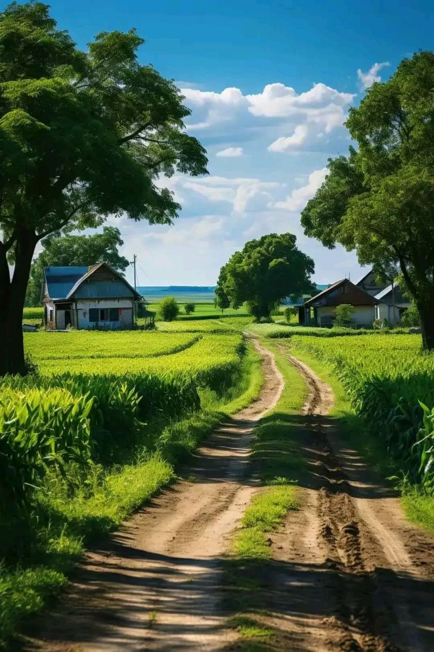 夏天美景乡村图片