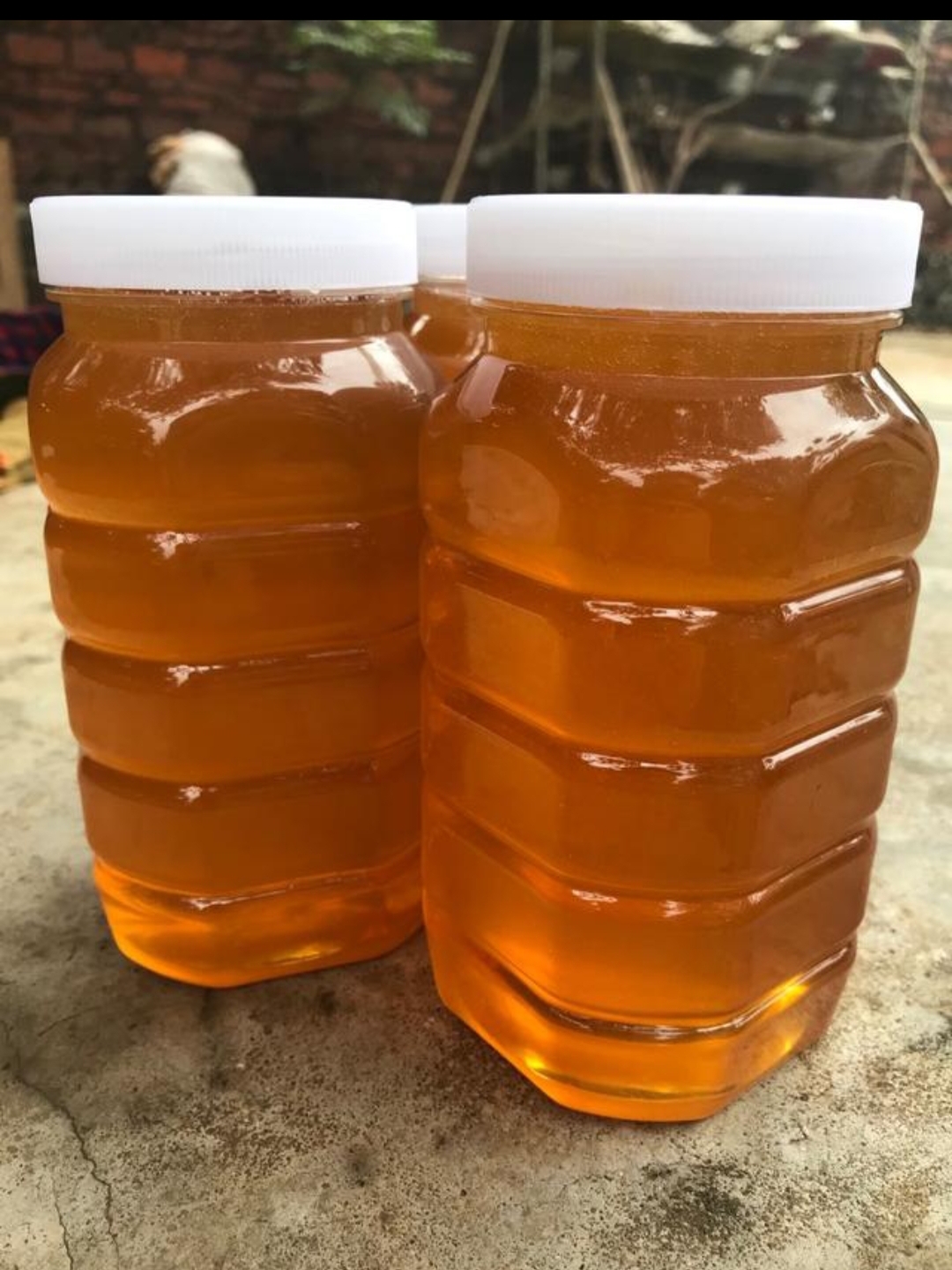 自家养中蜂白花蜜