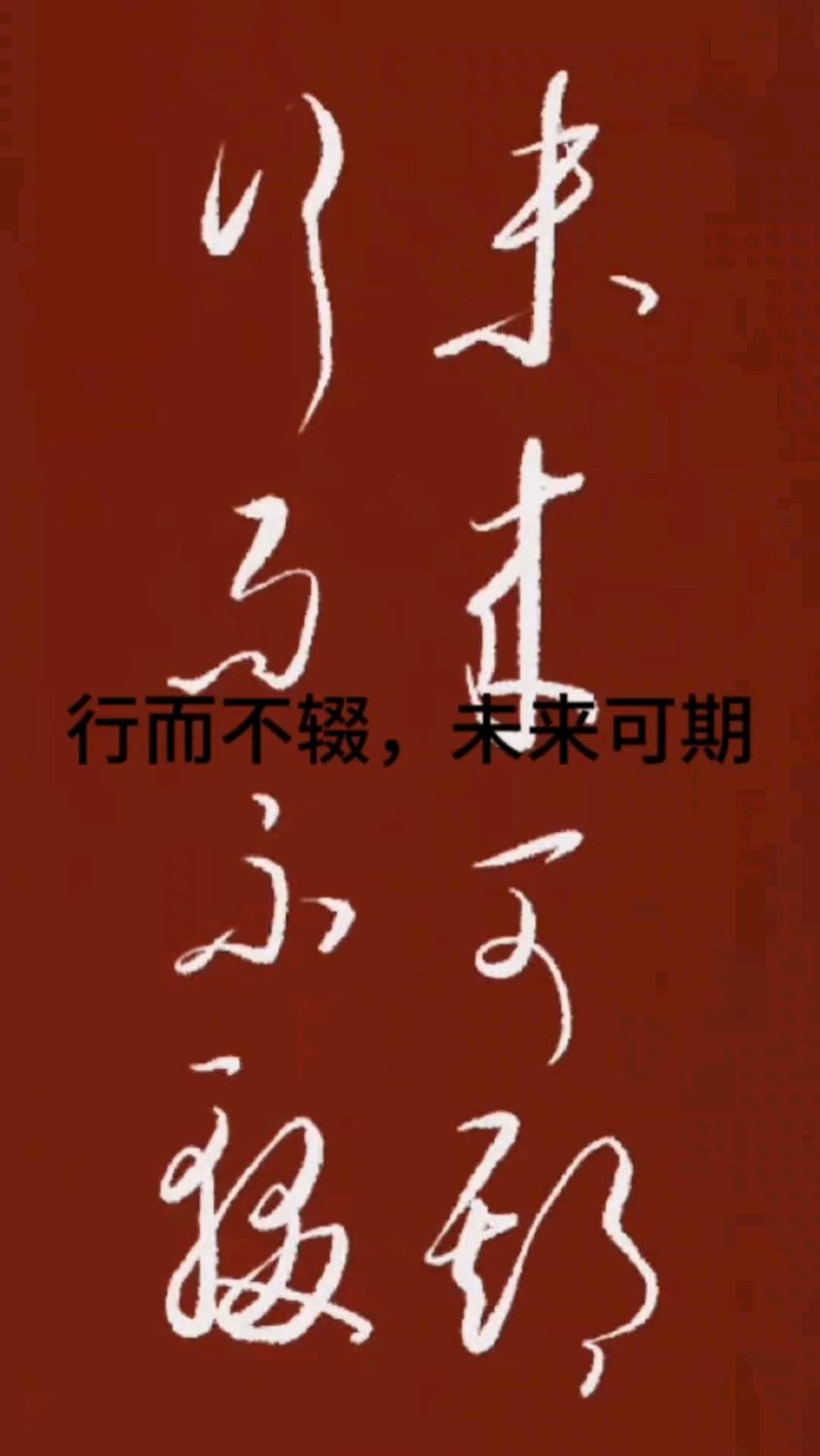 草书书法书写:行而不辍,未来可期