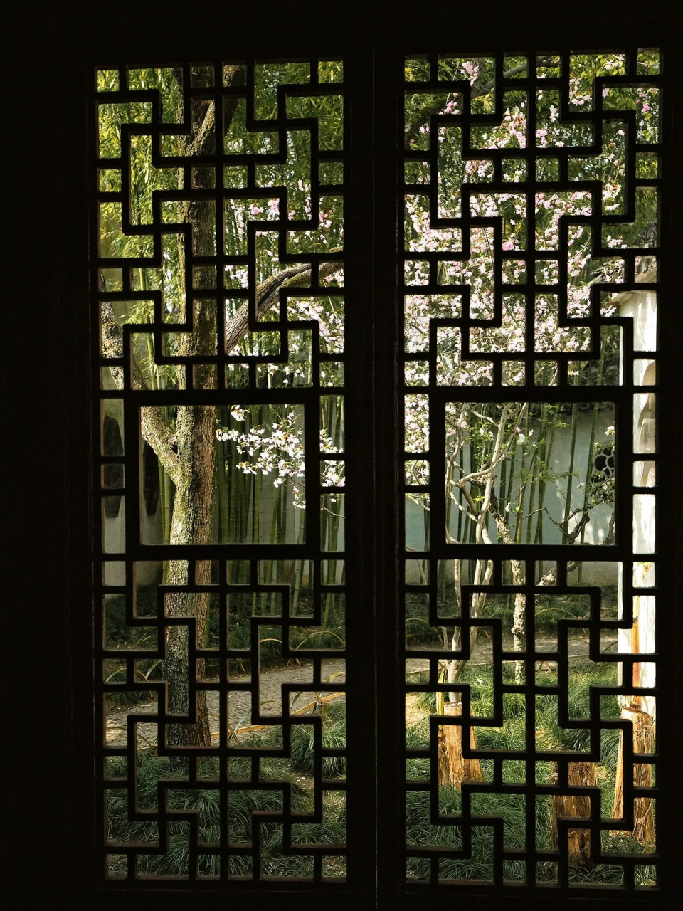 苏州园林 | 正暖春飘和佛风,烟窗分影光阴里|||花窗,是中国传统园林中